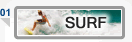 Surf the Web - Google It